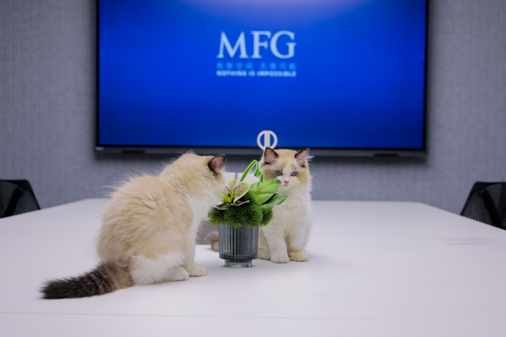 新消费品牌从0到100家店：MFG如何承接总部+区域办公的